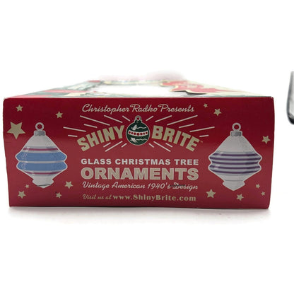 Christopher Radko Shiny Brite Snow Tops Christmas Tree Ornament Set 4001370