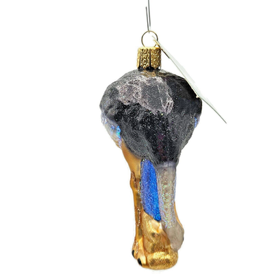 Old World Christmas Ostrich Head in the Sand Animal Glass OWC Holiday Ornament5