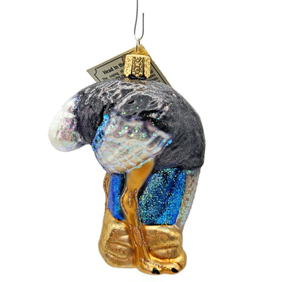 Old World Christmas Ostrich Head in the Sand Animal Glass OWC Holiday Ornament3