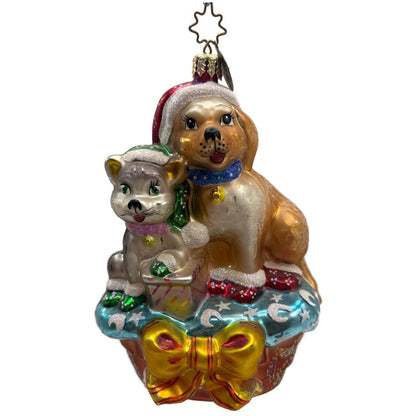 Christopher Radko Festive Furry Friends Dog Cat Christmas Tree Ornament 02-SP-95