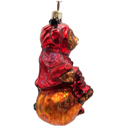 Christopher Radko You Little Devil Bear Pumpkin Halloween Christmas Ornament