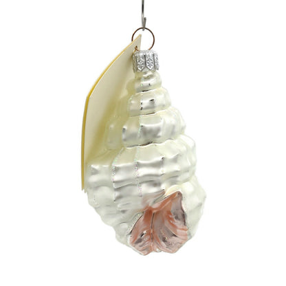 Patricia Breen Erics Shell Pearl Summer Aquatic Nautical Ocean Seashell Ornament
