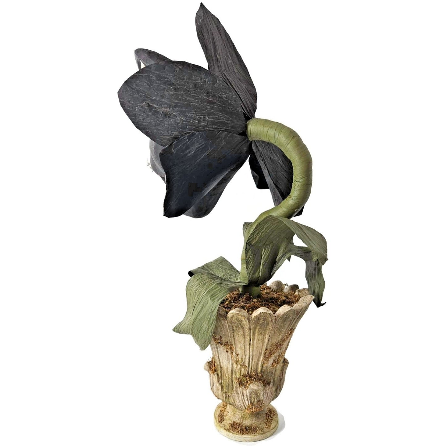 Bethany Lowe Scaredy Cat Orchid Halloween Black Paper Mache Flower Urn 18" Rare