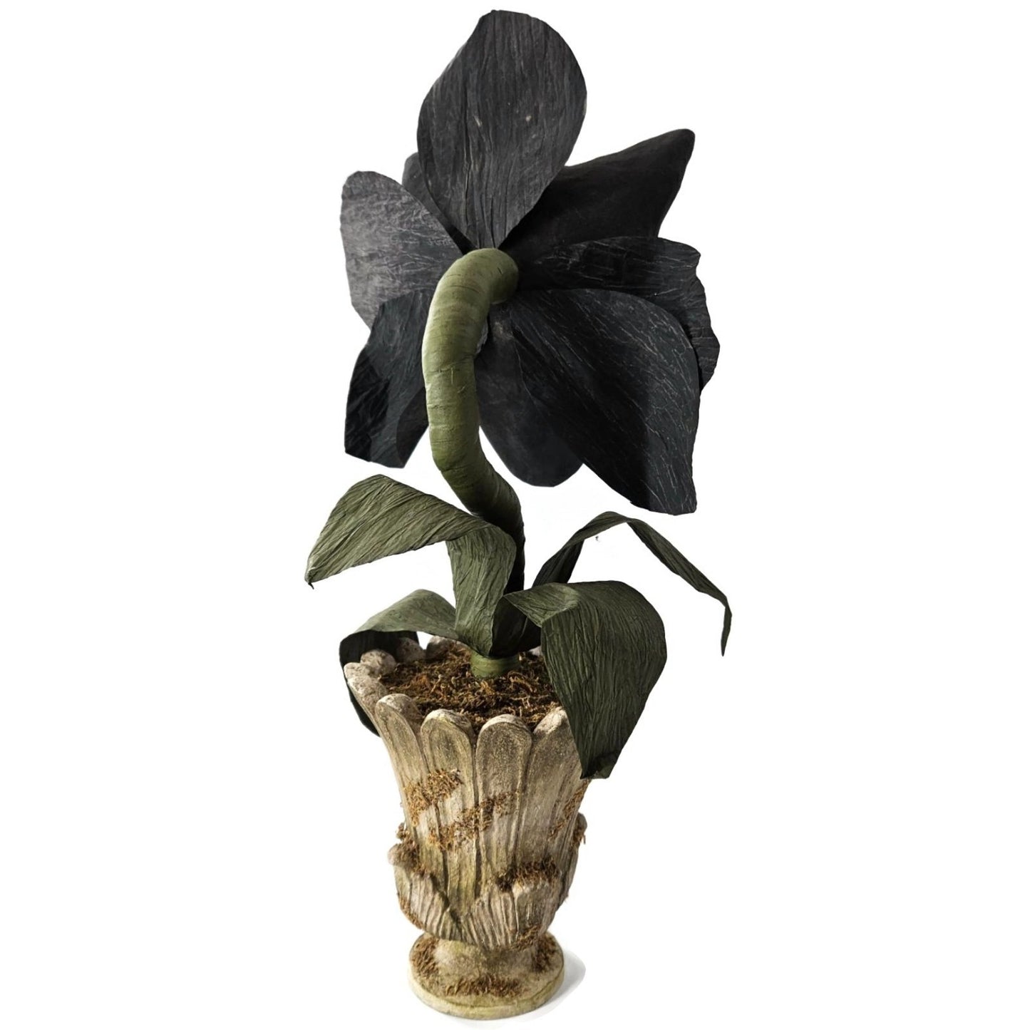 Bethany Lowe Scaredy Cat Orchid Halloween Black Paper Mache Flower Urn 18" Rare