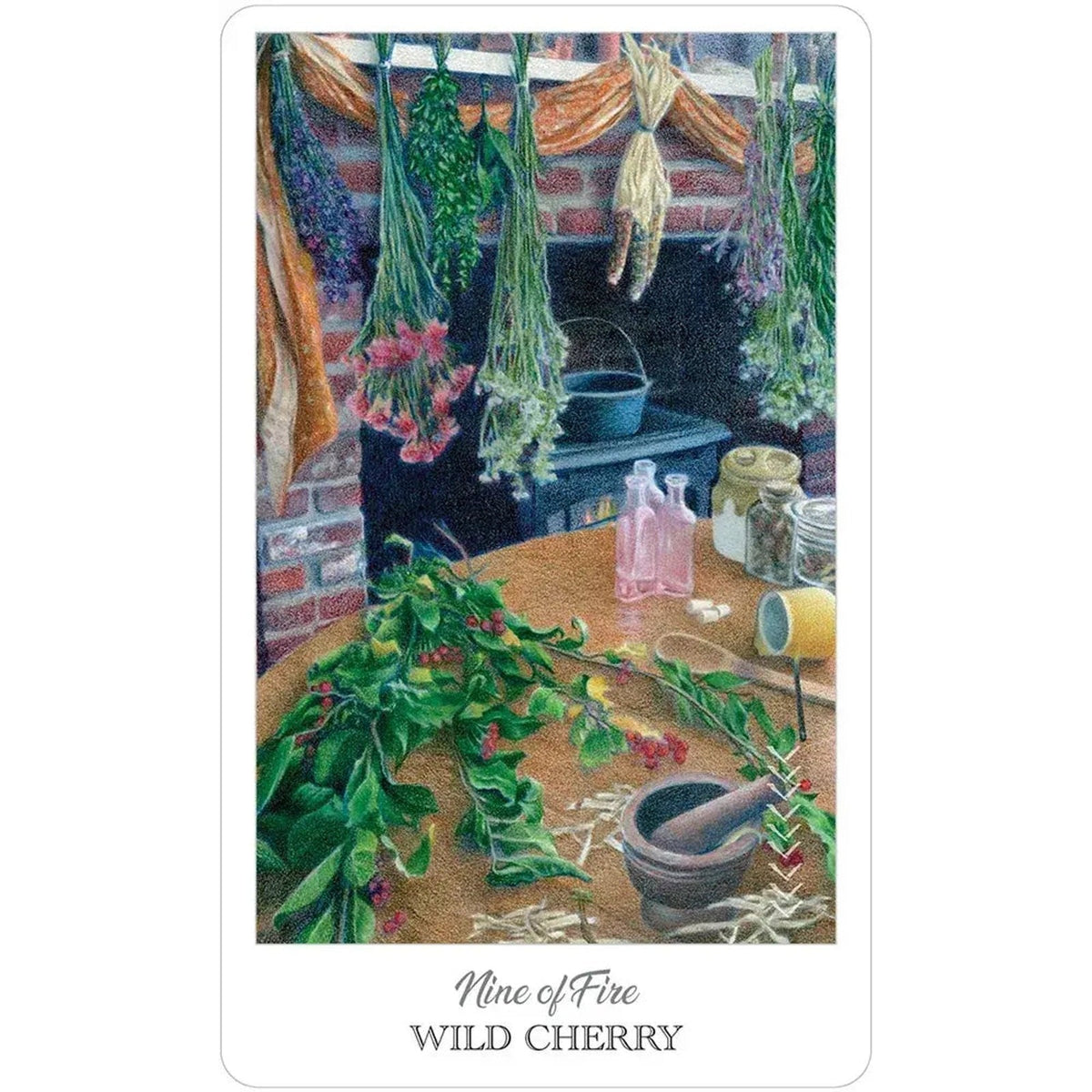The Herbcrafters Tarot Deck 78 Cards with Guidebook Herbal Plant Spirit Magic7