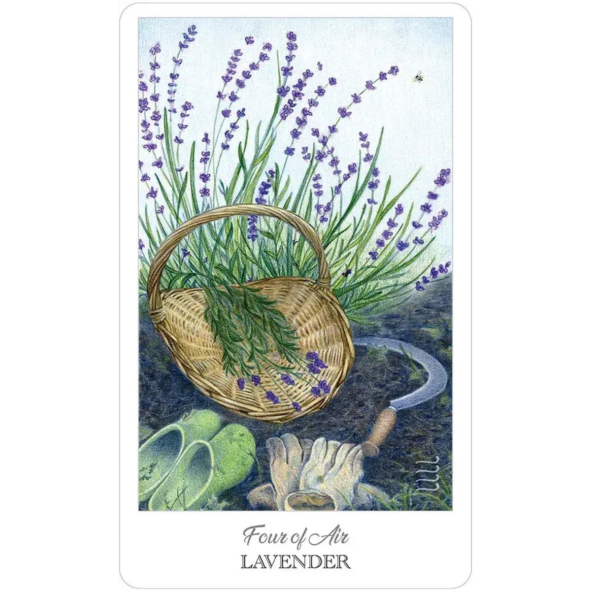 The Herbcrafters Tarot Deck 78 Cards with Guidebook Herbal Plant Spirit Magic4