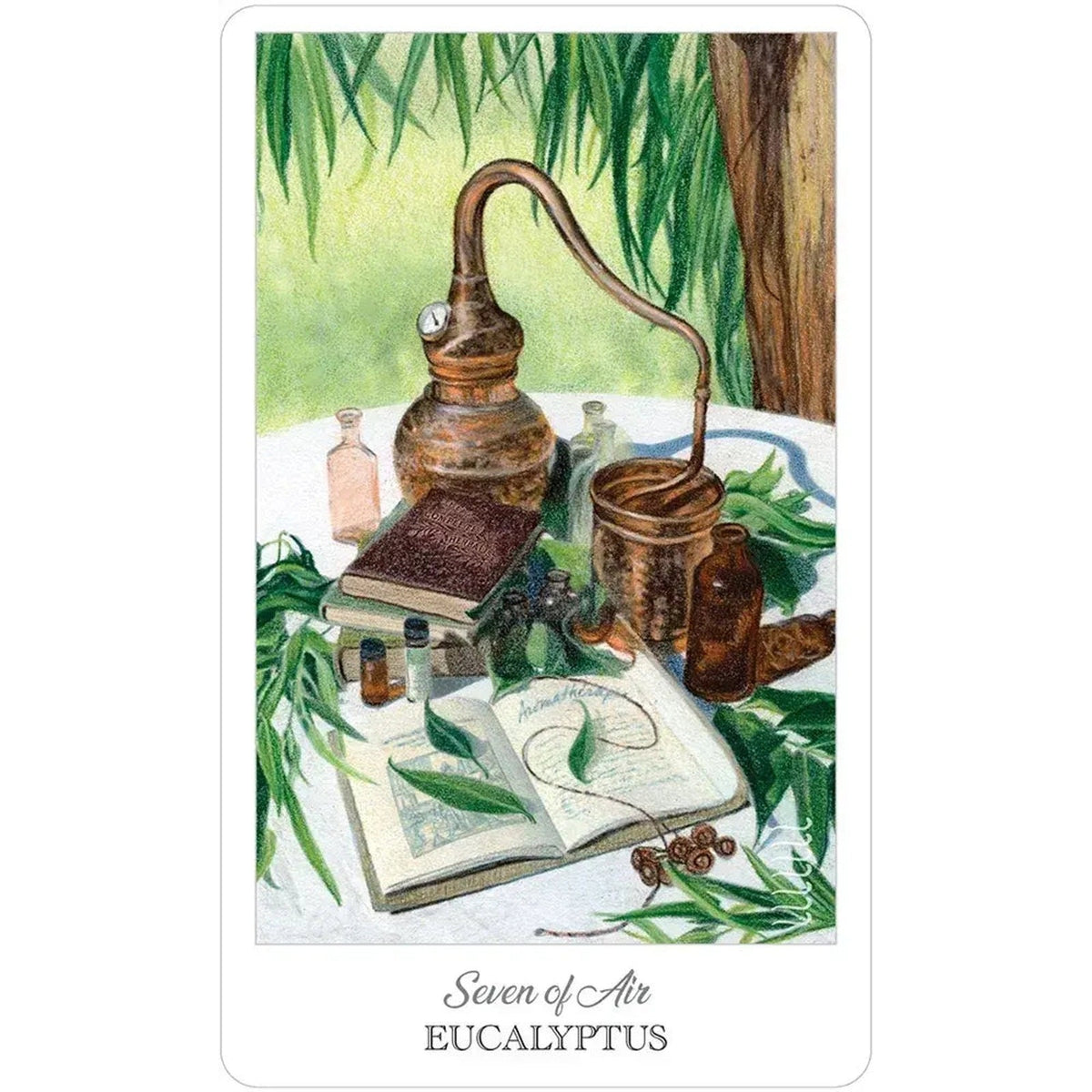 The Herbcrafters Tarot Deck 78 Cards with Guidebook Herbal Plant Spirit Magic3