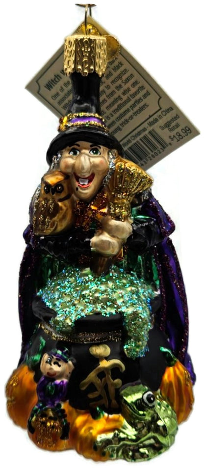 Old World Christmas 2004 Witch With Cauldron OWC Glass Halloween Decor Ornament8
