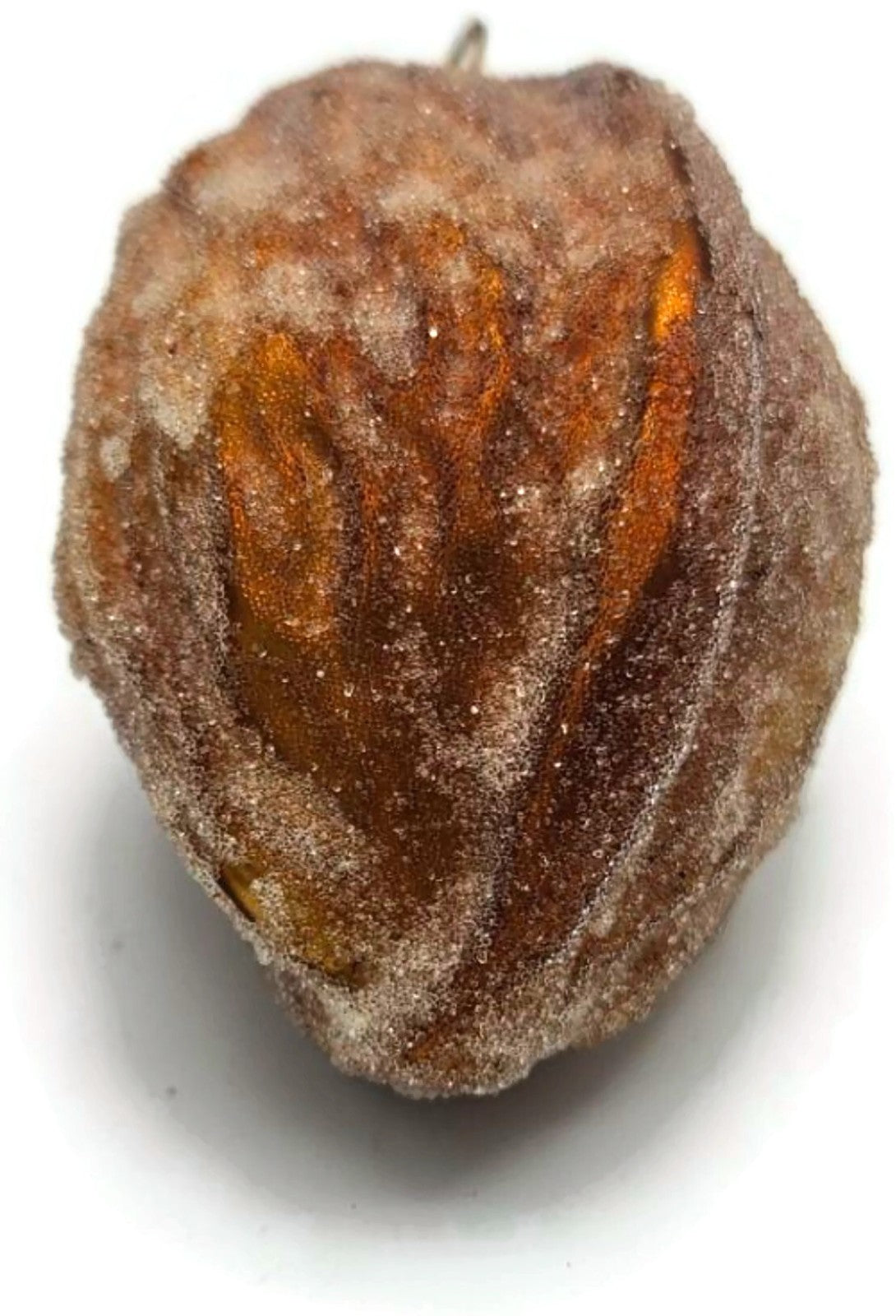 Christopher Radko Sugared Walnut Glitter Glass Christmas Tree Ornament 98-464-03