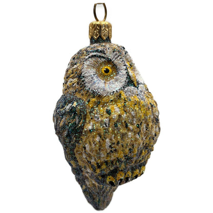 Patricia Breen Whooo Owl Bird Halloween Fall Christmas Tree Ornament