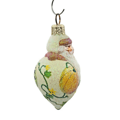 Patricia Breen Miniature Santa Poeticus Gourds Fall Christmas Ornament CATZ