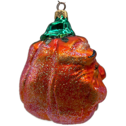 Christopher Radko Pumpkin Eater Orange Halloween Christmas Ornament 96-203-0