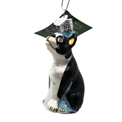Old World Christmas Boston Terrier Dog Pet Animal Christmas Holiday Ornament OWC