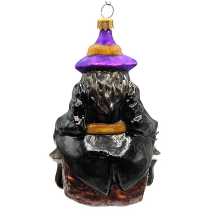 Christopher Radko Punkin Pal Witch Pumpkin Halloween Christmas Ornament 97-241-1