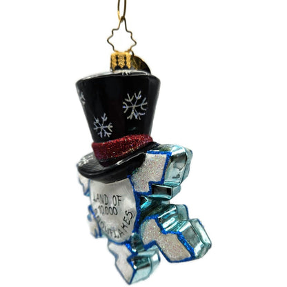 Christopher Radko Land Of 10,000 Snowflakes Minnesota Christmas Ornament 3011612