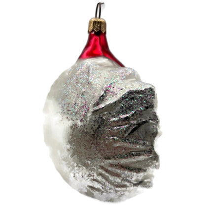 Christopher Radko Winter Wind Santa Beard Face Christmas Tree Ornament 96-121-0