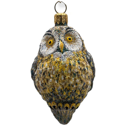 Patricia Breen Whooo Owl Bird Halloween Fall Christmas Tree Ornament