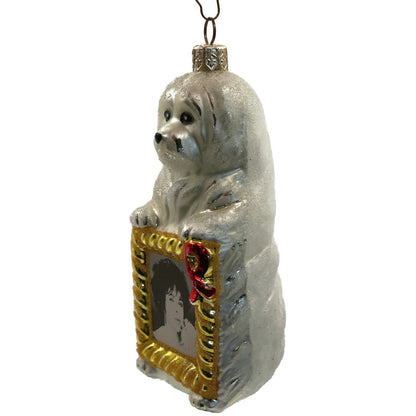 Christopher Radko Sugar Holiday Elizabeth Taylor AIDS Charity Christmas Ornament