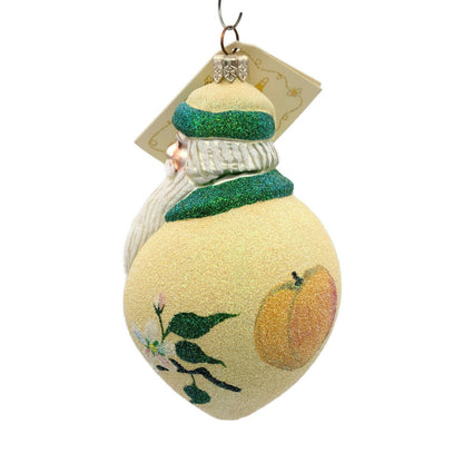 Patricia Breen Santa Poeticus Peaches Glittered Spring Christmas Tree Ornament